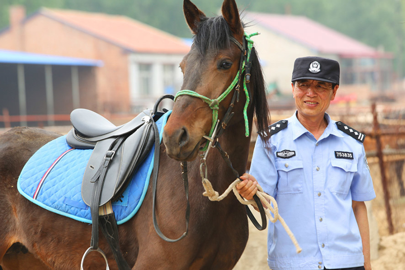 民警每天都悉心照料著愛馬。