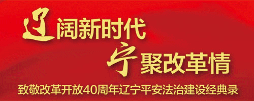 致敬改革開放40周年遼寧平安法治建設經典錄